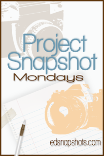 Project Snapshot Week 3 Logo | Everyday Snapshots