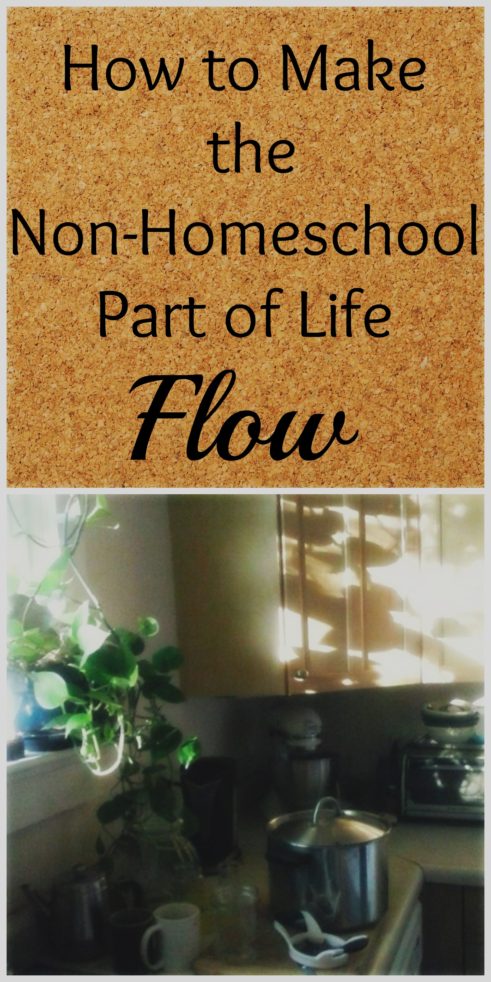 Non homeschool flow