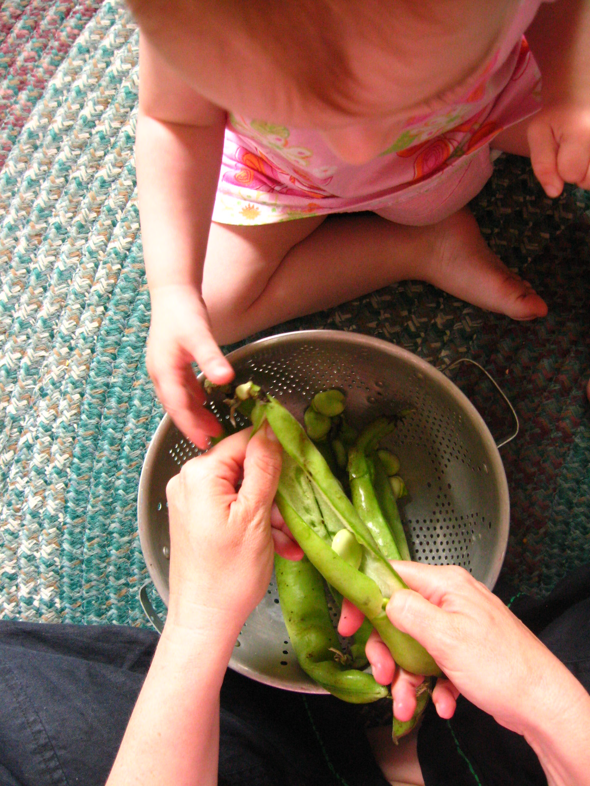 fava beans and the CSA