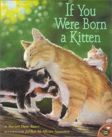 If You Were Born a Kitten